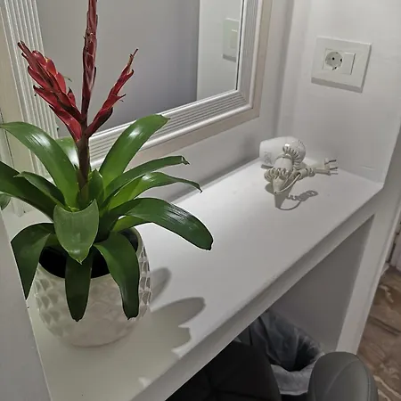 Zeus Apart-hotel Kamári