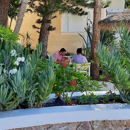 Zeus Aparthotel 3*