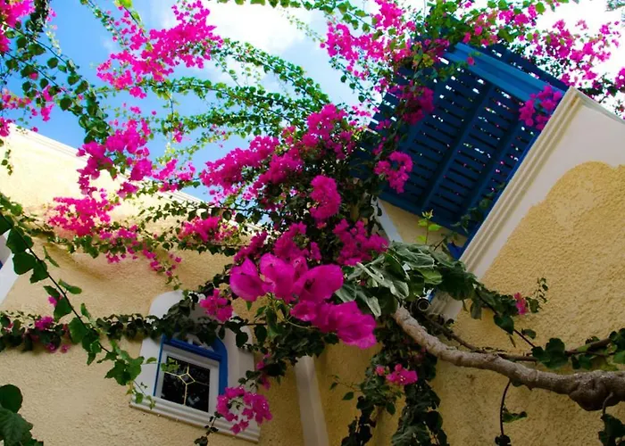 Lägenhetshotell Zeus 3*