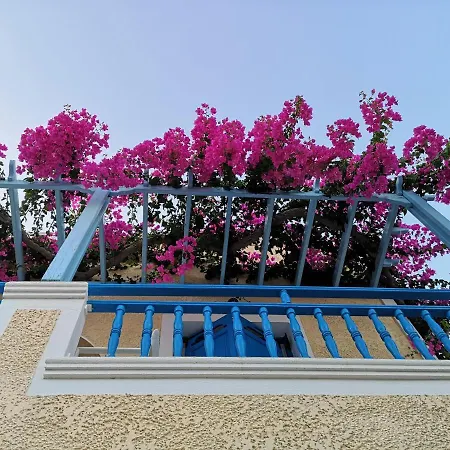 Zeus Aparthotel 3*