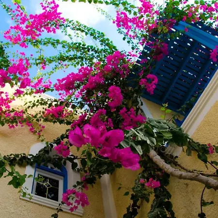 Lejlighedshotel Zeus 3*